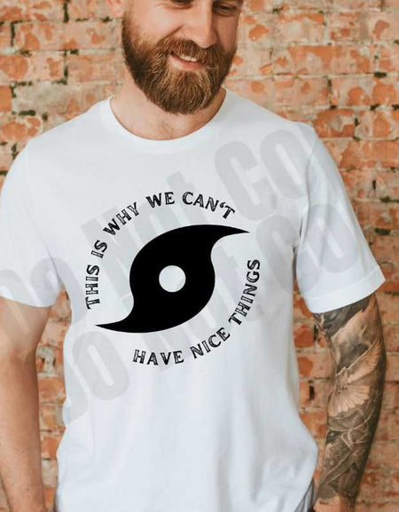 Why We Can't Have Nice Things Screen Print Transfer - Print My Images