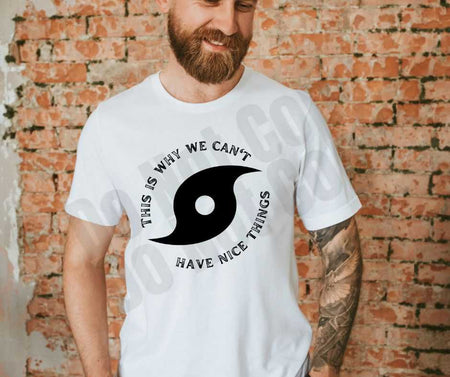 Why We Can't Have Nice Things Screen Print Transfer - Print My Images