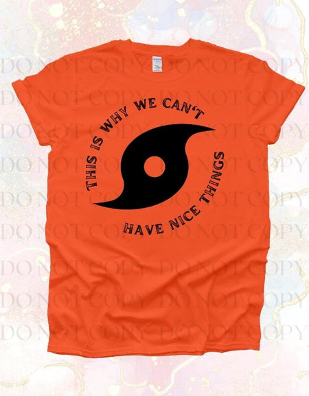 Why We Can't Have Nice Things Screen Print Transfer - Print My Images