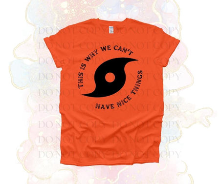 Why We Can't Have Nice Things Screen Print Transfer - Print My Images