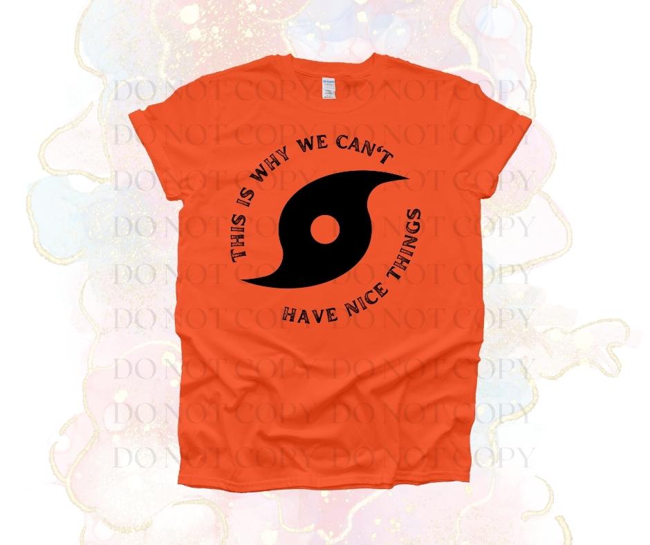 Why We Can't Have Nice Things Screen Print Transfer - Print My Images