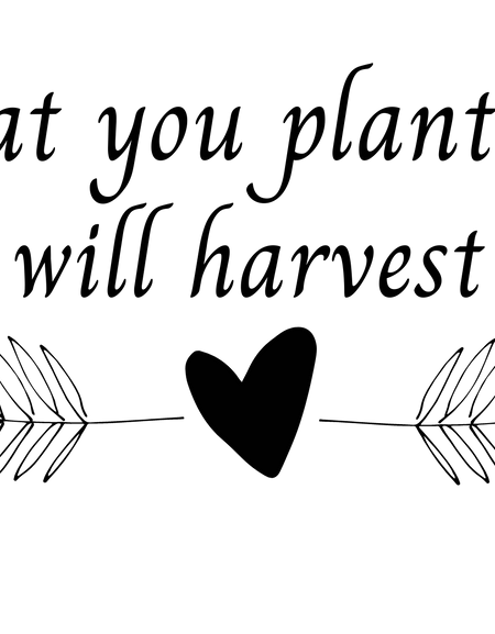 What You Plant Now You Will Harvest Later Screen Print Transfer - Print My Images